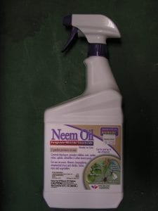 Ready-to-use Bonide Brand Neem Oil for controlling sucking insects and powdery mildew