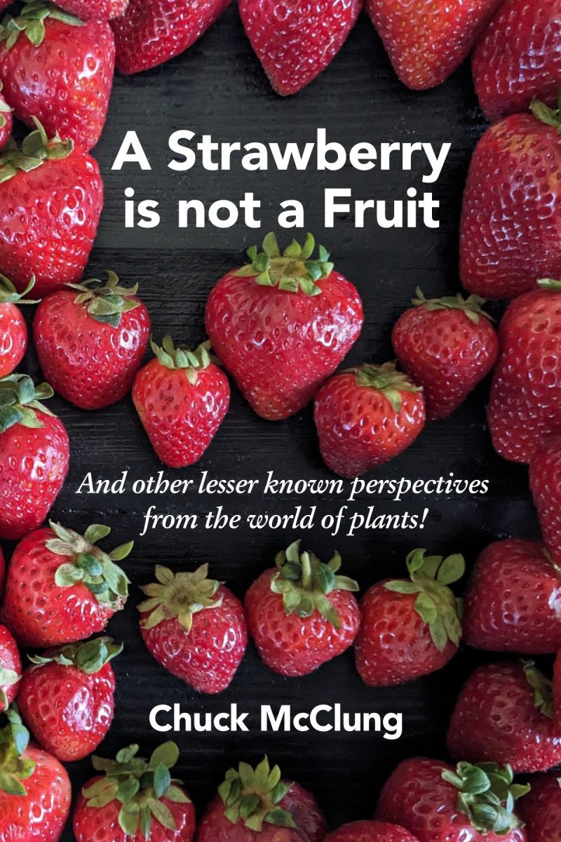 A Strawberry Is Not A Fruit Front Cover 2026